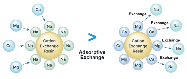 3zone principle no back